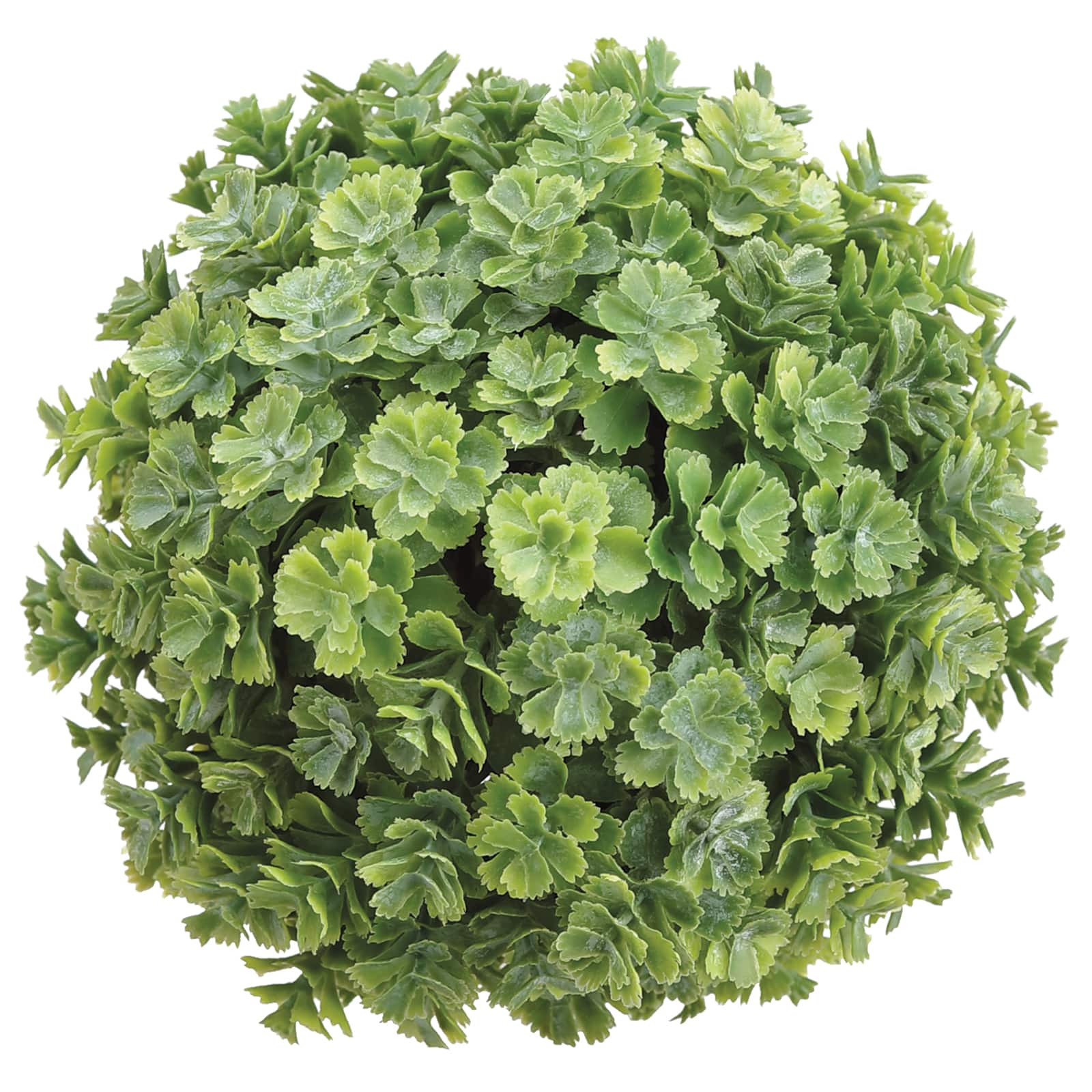 5.5" SOFT TOUCH SEDUM ORB GREEN