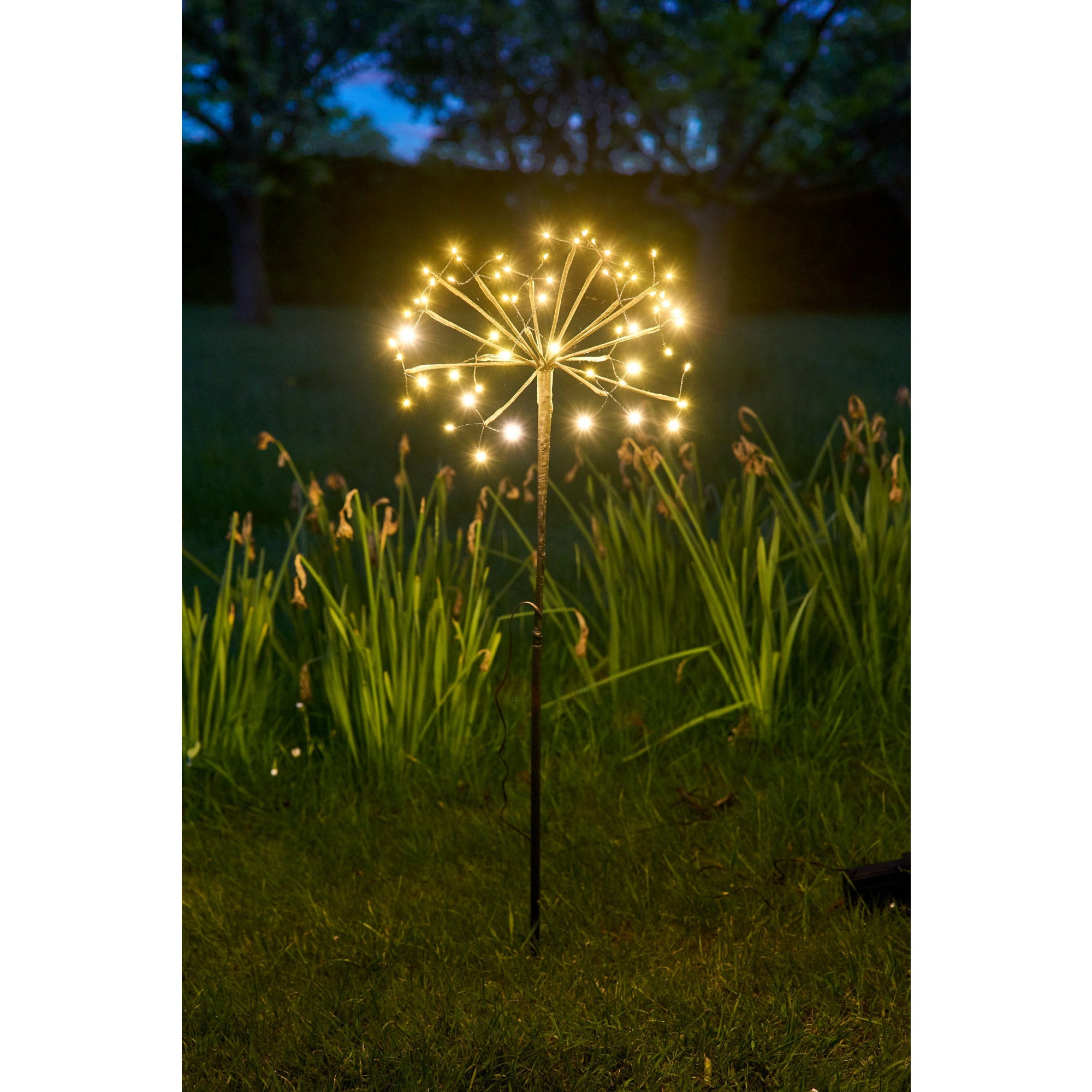 Solar Dandelion Light - Size: 96 LED