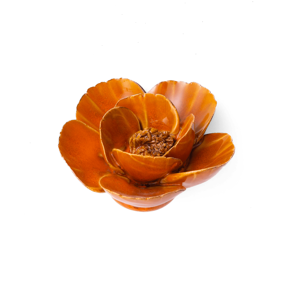Ceramic Flower Collection Burnt Orange Poppy