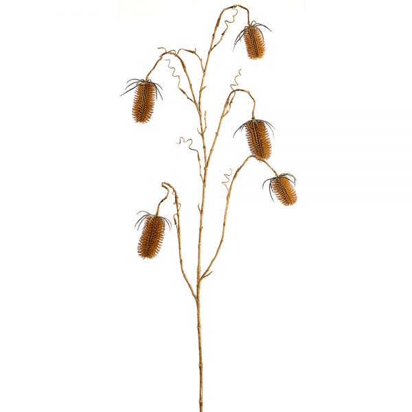 46" Dipsacus Teasel Spray BE/BR