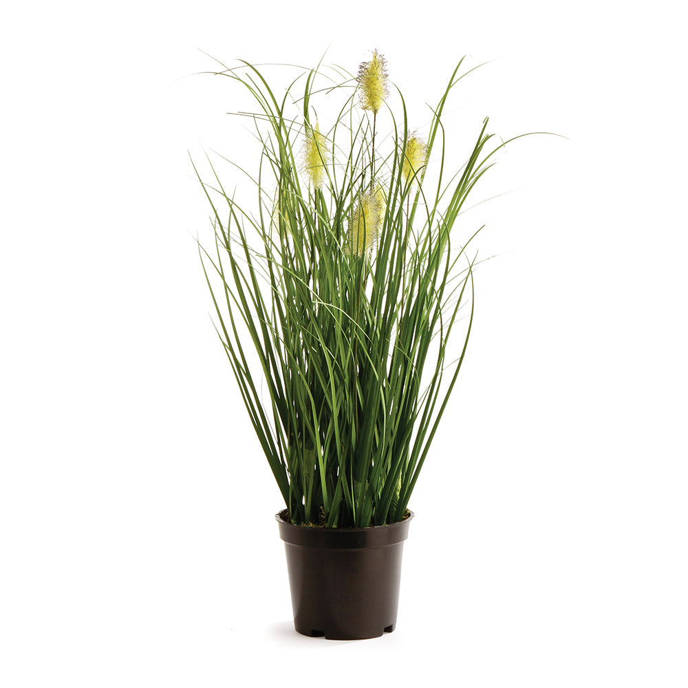 Wild Grass Drop-In 16"