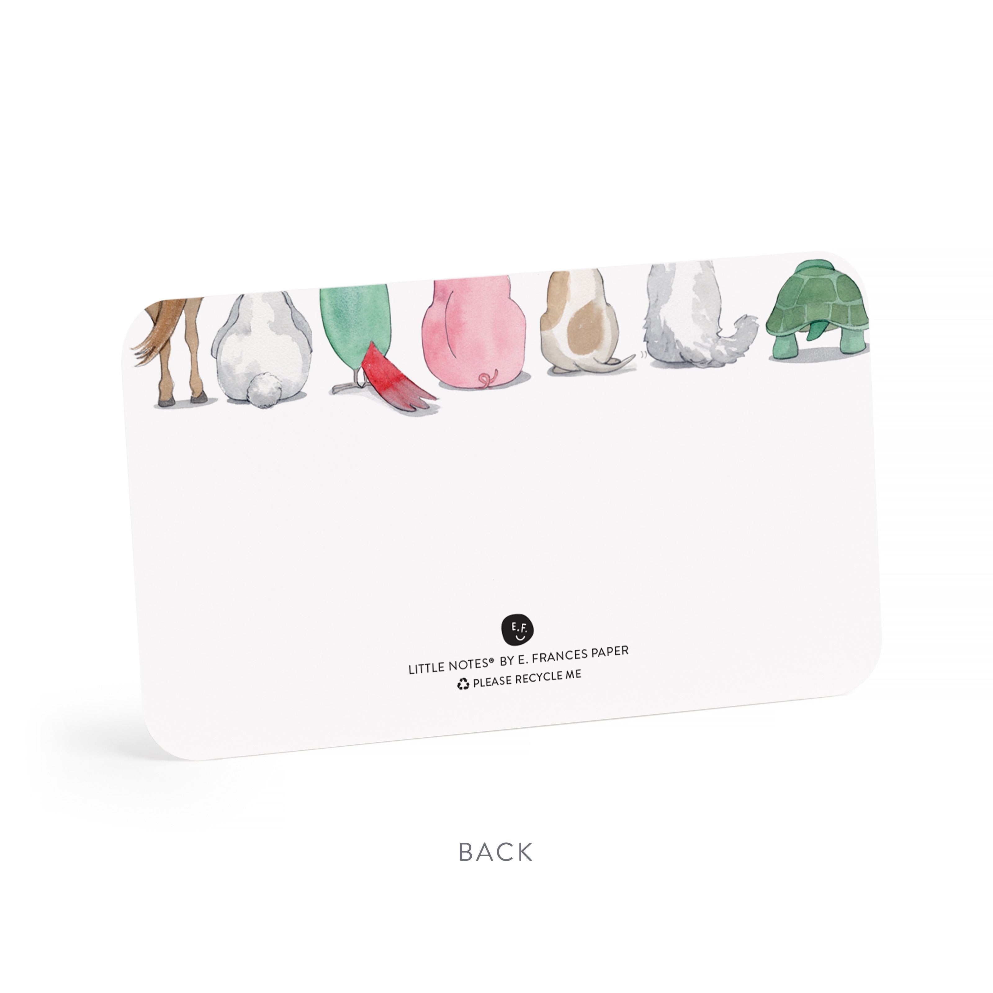 ANIMAL FRIENDS-LITTLE NOTES BOXED SET OF 85 MINI NOTE CARDS