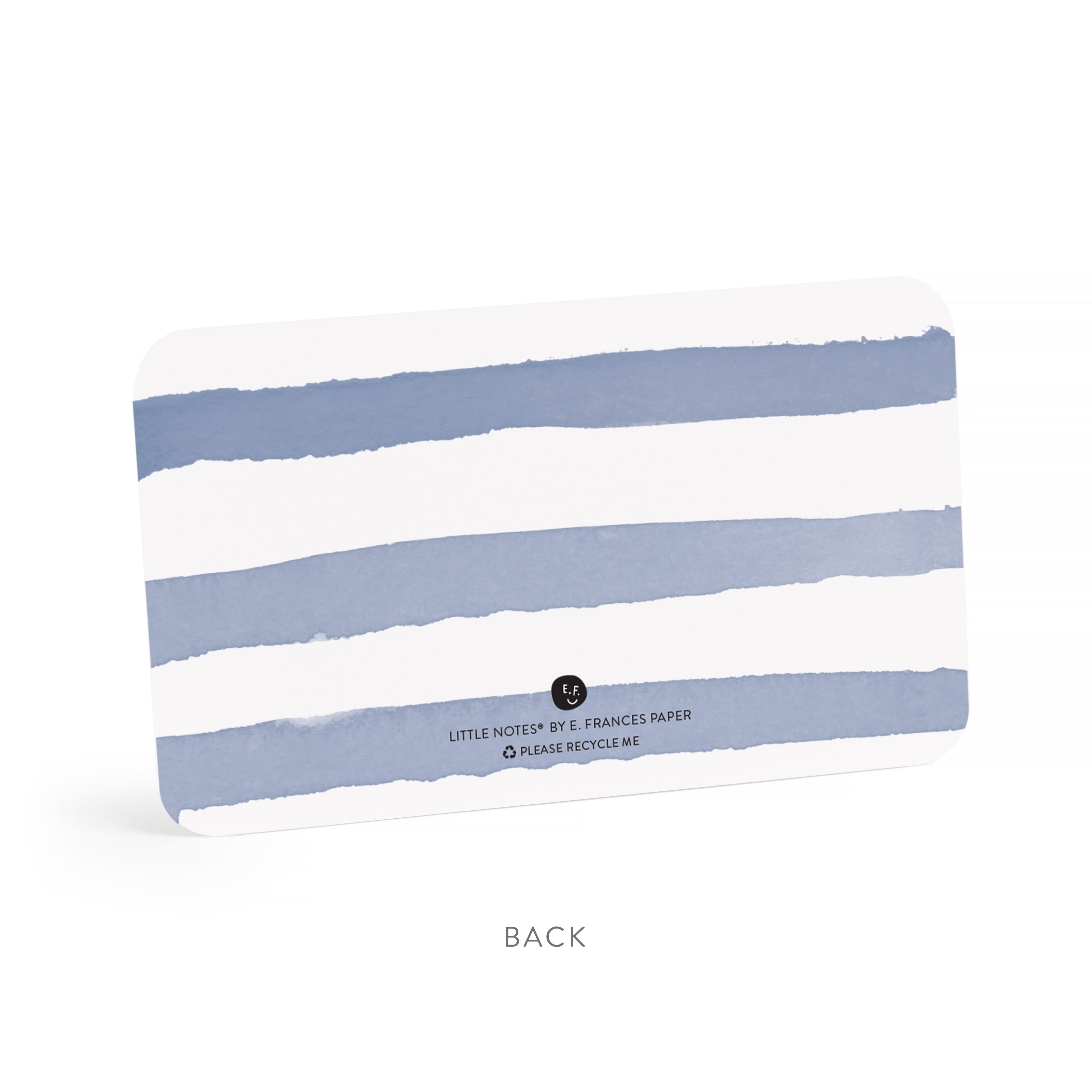 FRESHLY PICKED-LITTLE NOTES-BOX OF 85 NOTECARDS