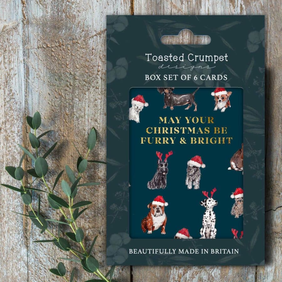 Furry & Bright Boxed Christmas Cards (set of 6)