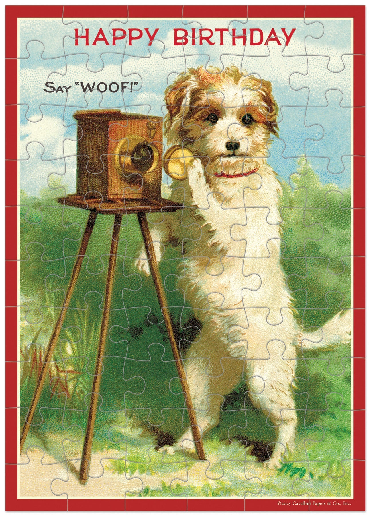 Cavallini Happy Birthday dog puzzle greeting card featuring vintage terrier with antique camera