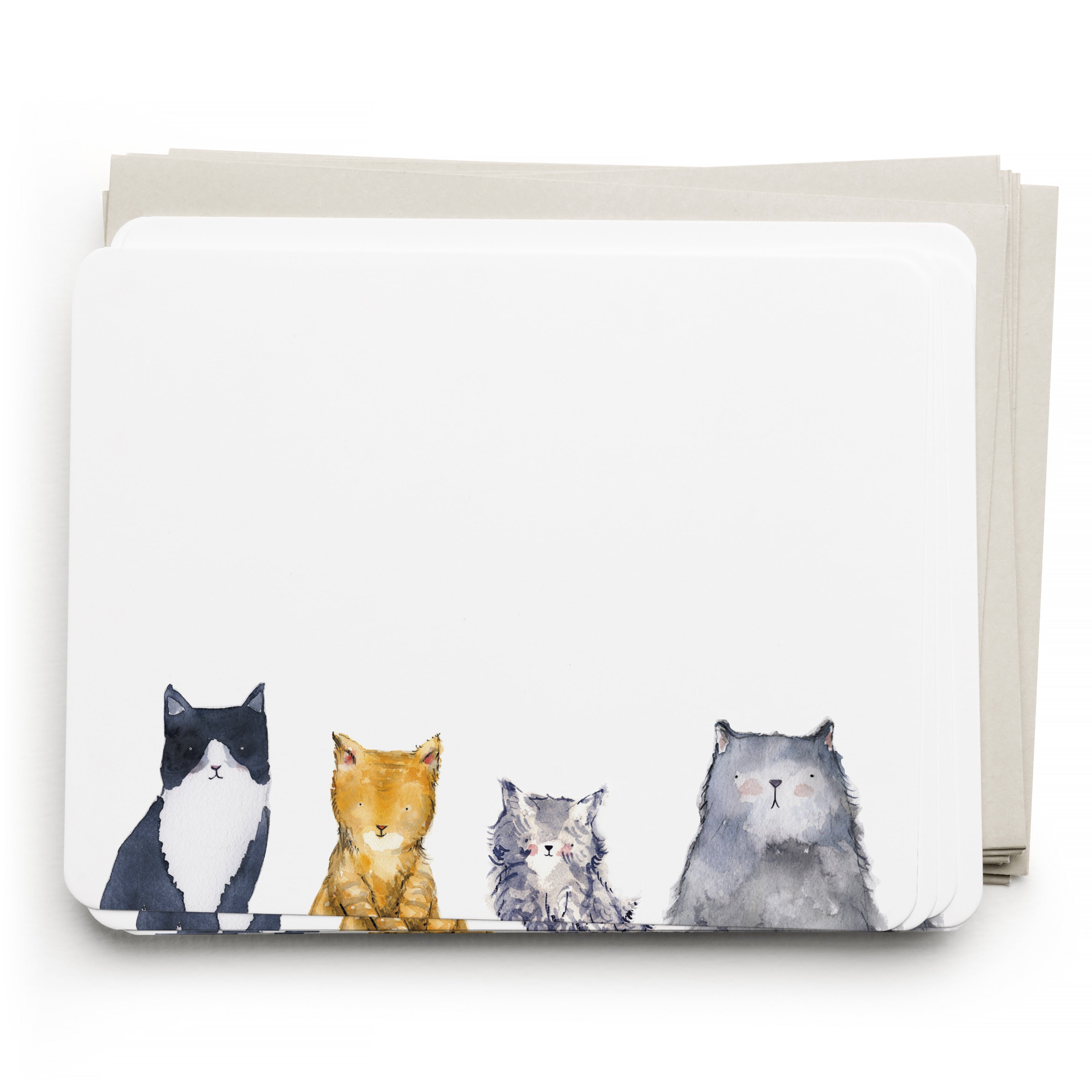 CAT'S MEOW FLAT NOTE-BOXED SET OF 8 NOTE CARDS