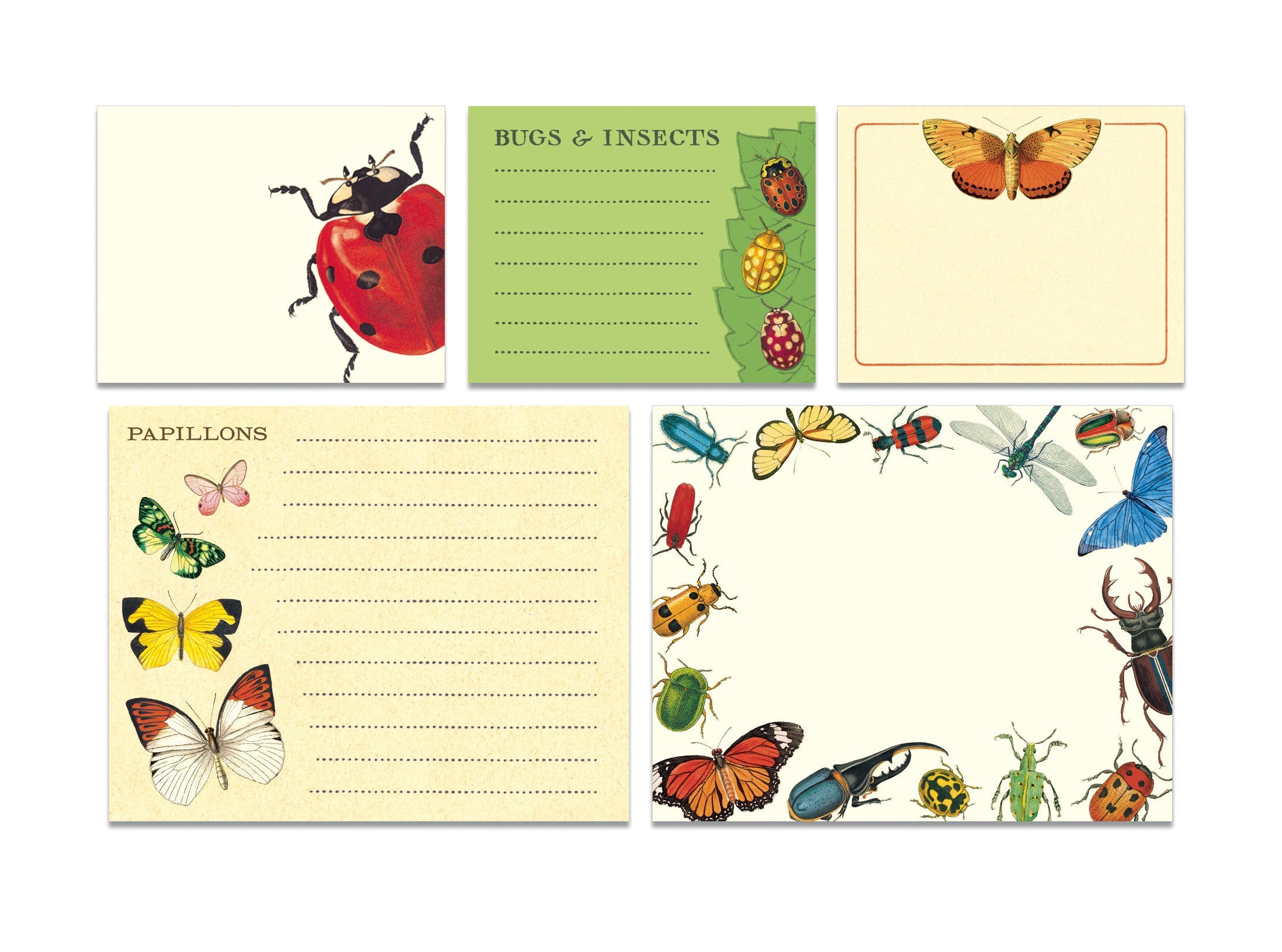 Bugs & Insects - Sticky Notes