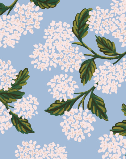 Hydrangea Clear Umbrella