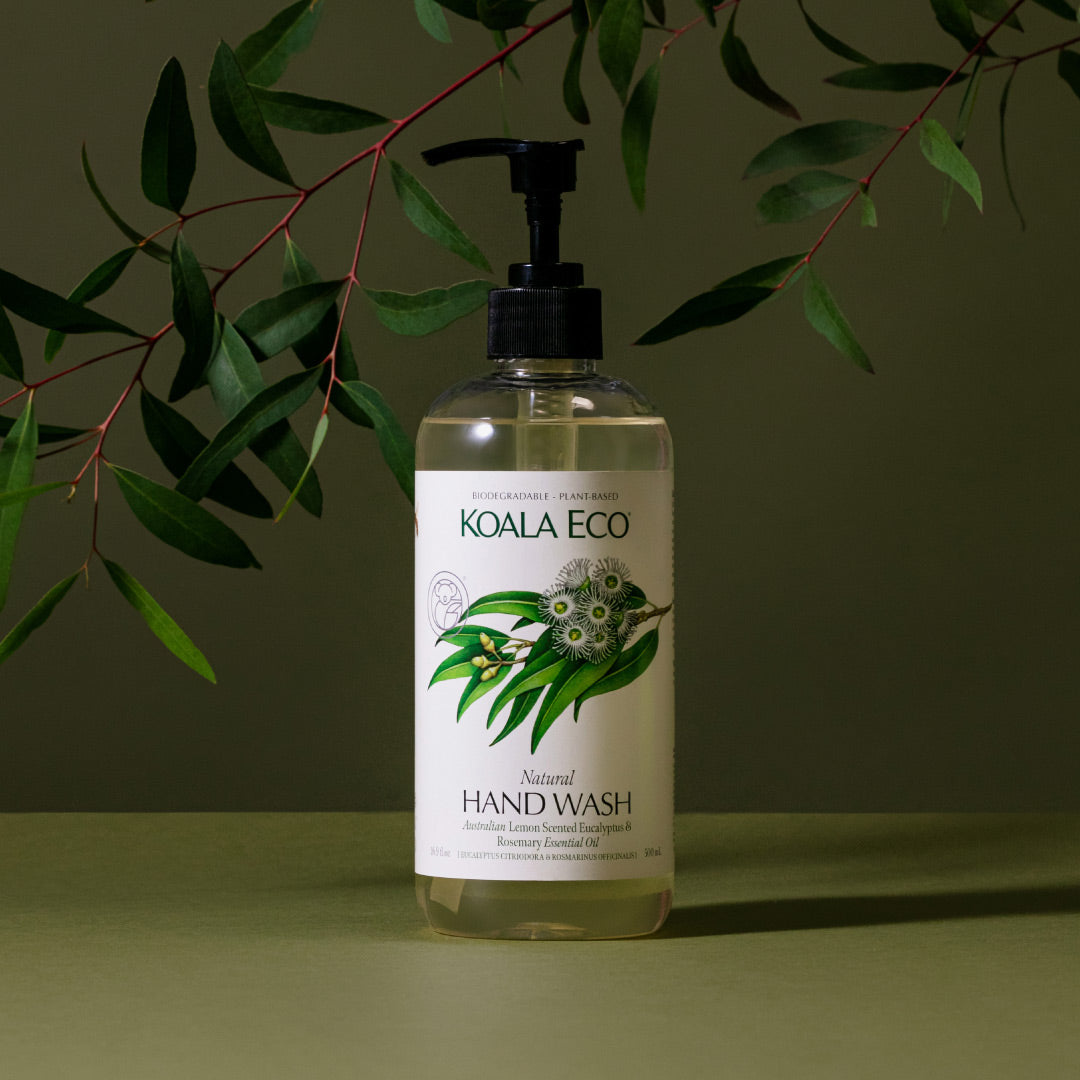NATURAL HAND WASH 16.9OZ
