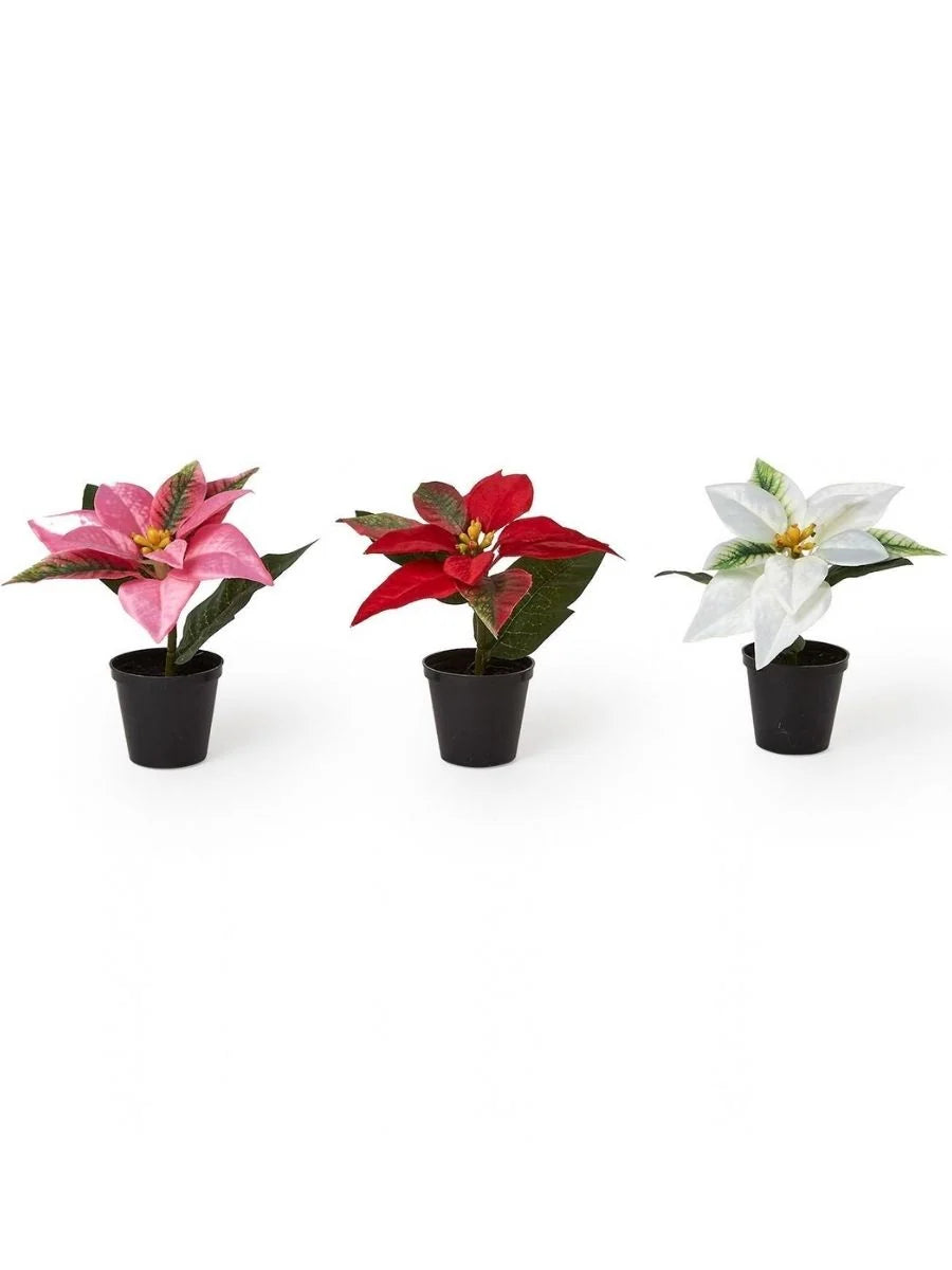 Faux Poinsettia - Assorted Colors