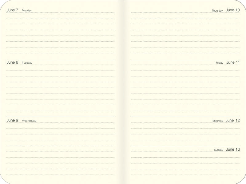 2027 BIRDS 4X6" PLANNER-ELASTIC CLOSURE