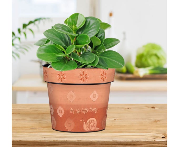 Terra Flora 6" Art Pot