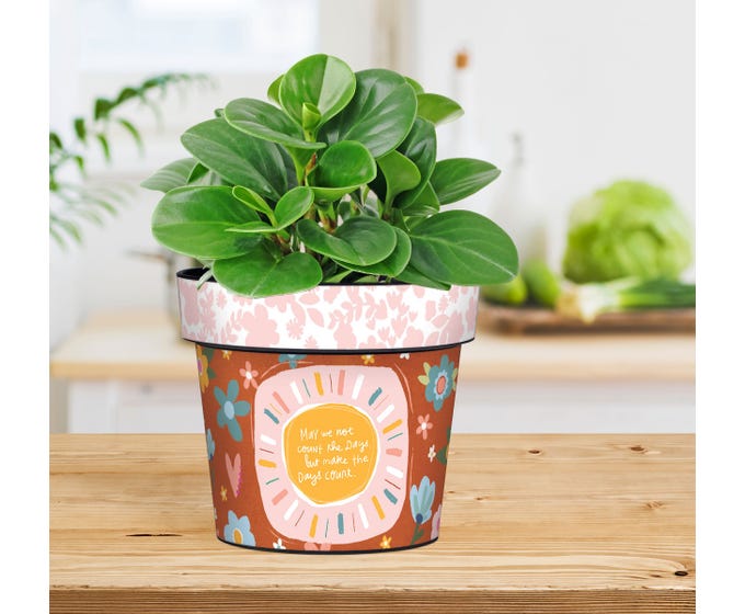 Make the Days Count 6" Art Pot
