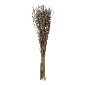 19" H Dried Natural Lavender Bunch