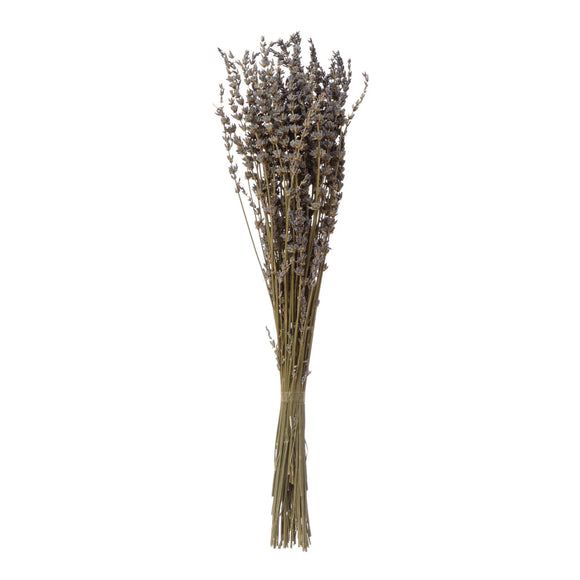 19" H Dried Natural Lavender Bunch