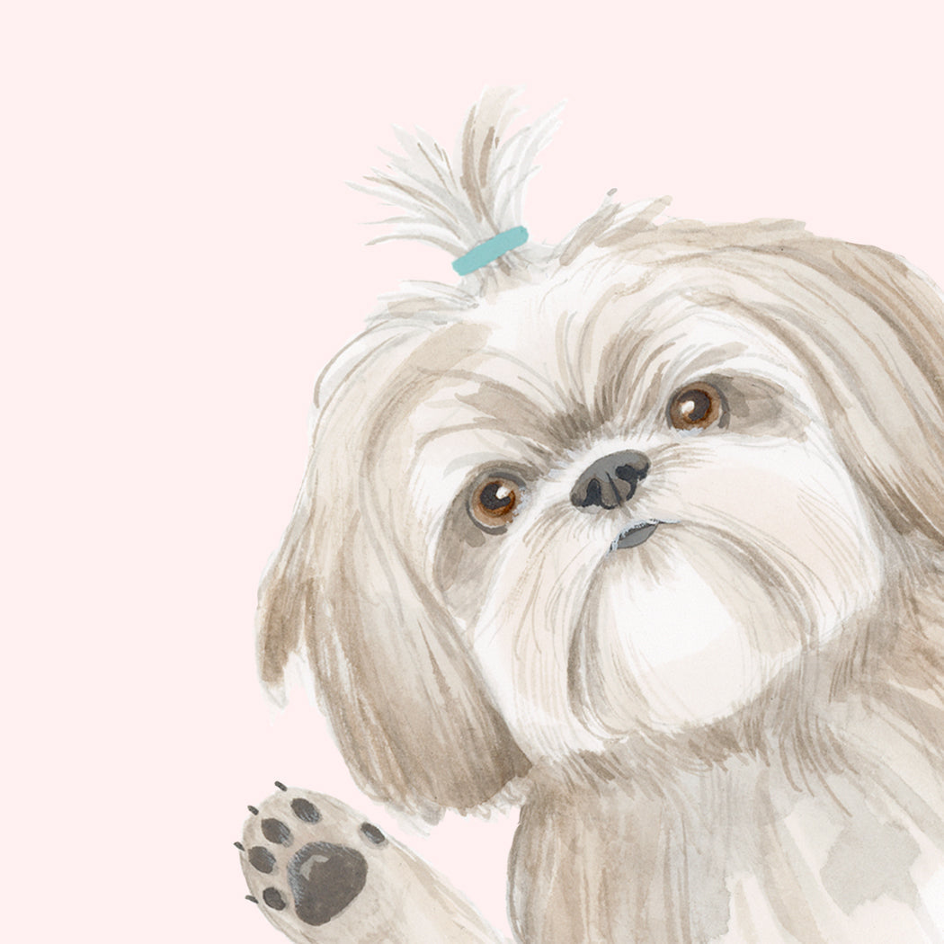 HOPE YOUR BIRTHDAY IS THE SHIHTZ BIRTHDAY CARD