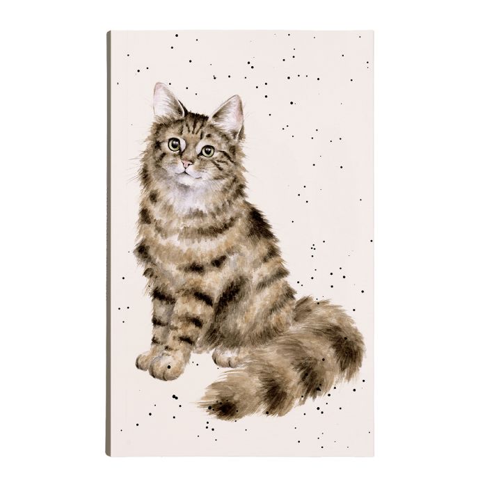 COVERED NOTE PAD-CAT